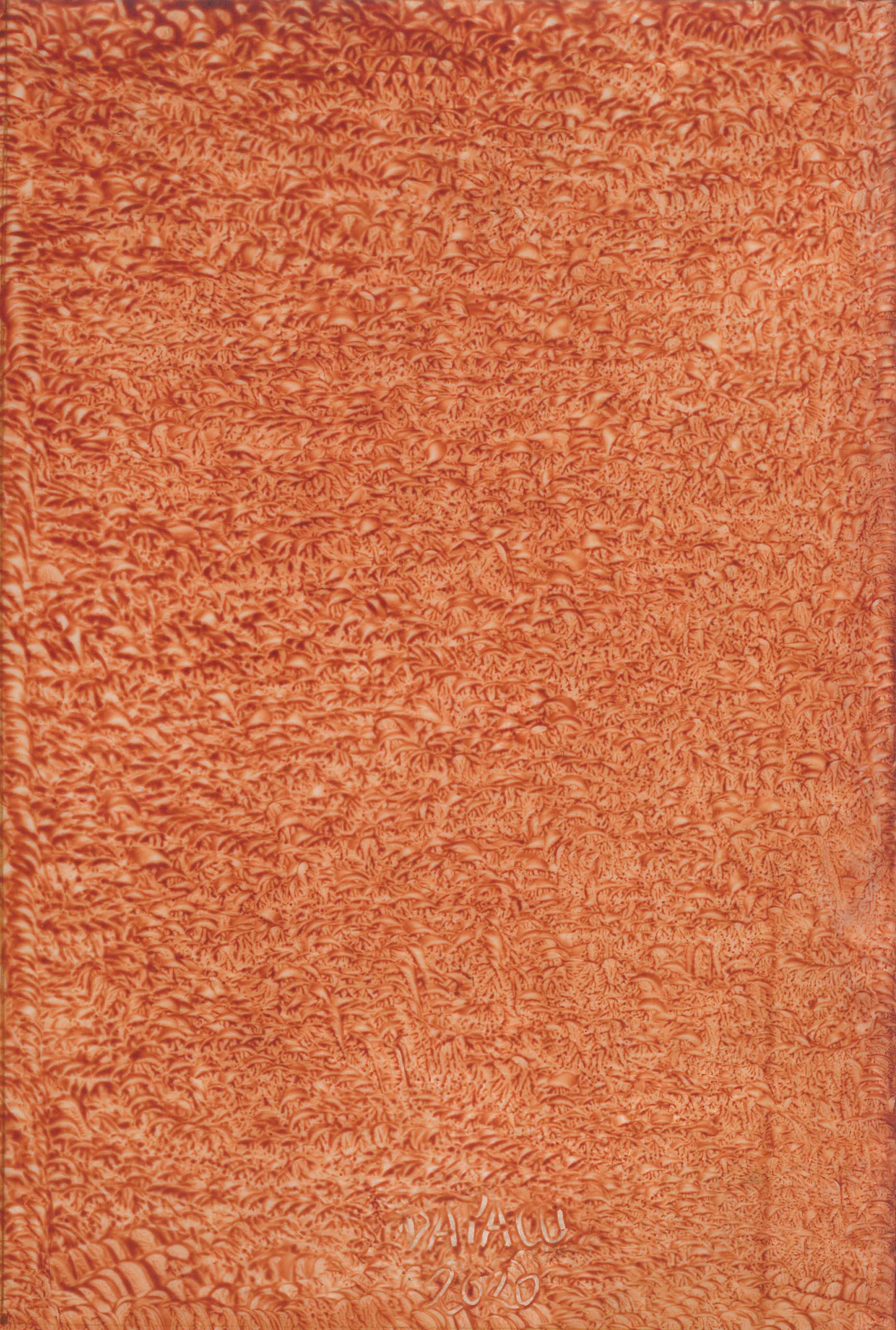 Fine Art Museum Exhibitions